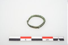 Foto von Bronzering (NHMW-PRAE-026654)